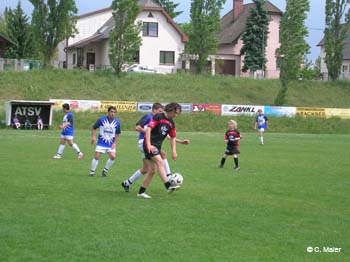 DSCN0410