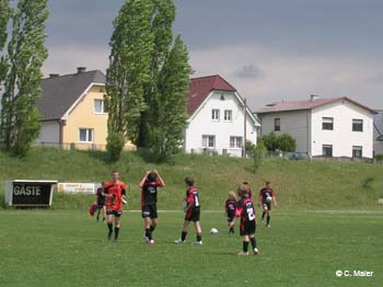 DSCN0447