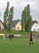 DSCN0439